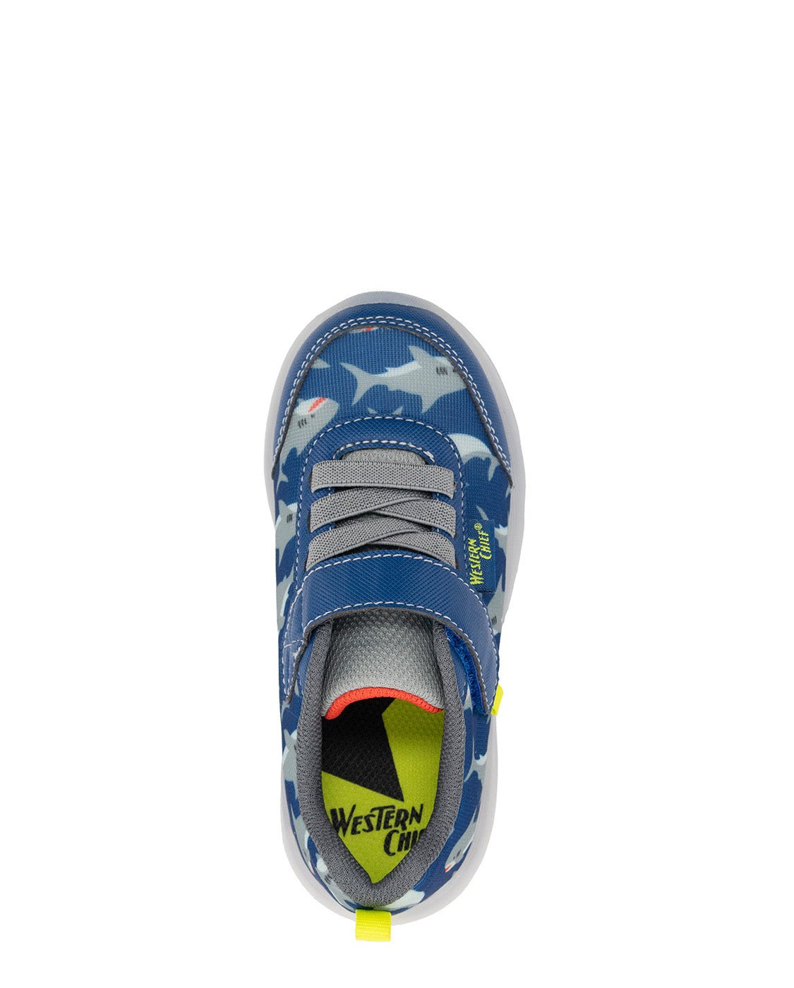 Kids Lighted Flash Feet Sneaker - Blue - Western Chief
