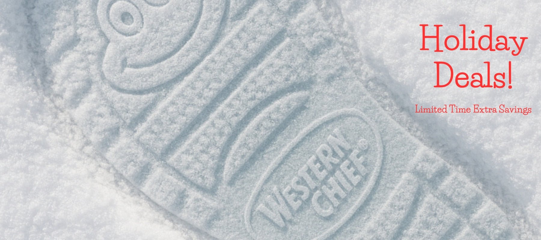 Men's Holiday Deals - Western Chief