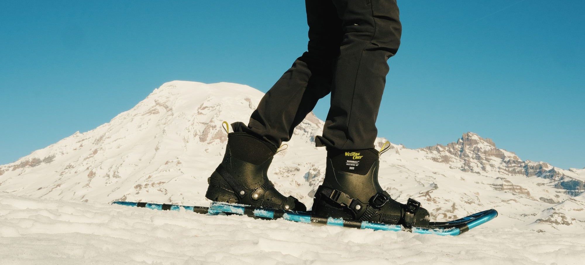 Western Chief 365 Collection - Western Chief