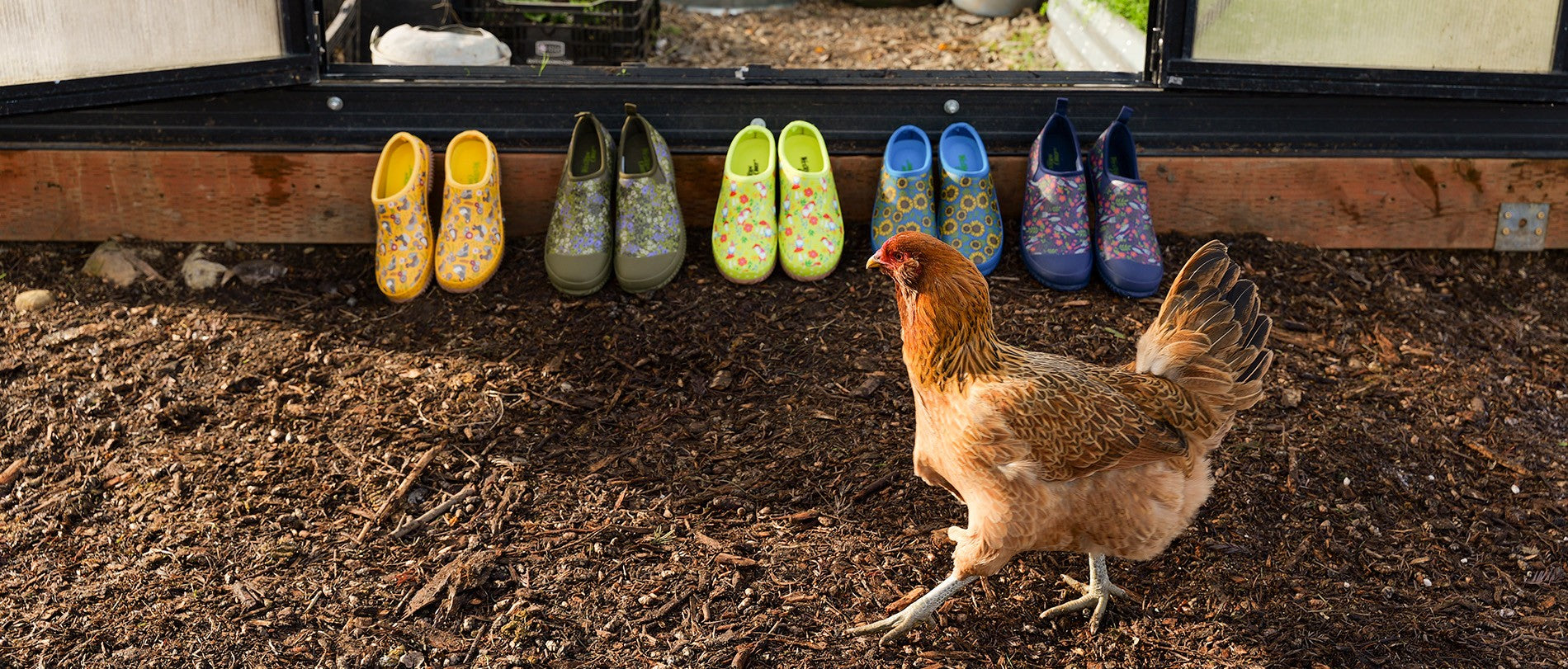 Western Chief Women's Clogs and Garden Shoes